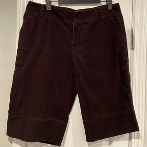 J. Crew Size 10 Brown Soft Corduroy 14” Inseam Zip Up Chino Shorts